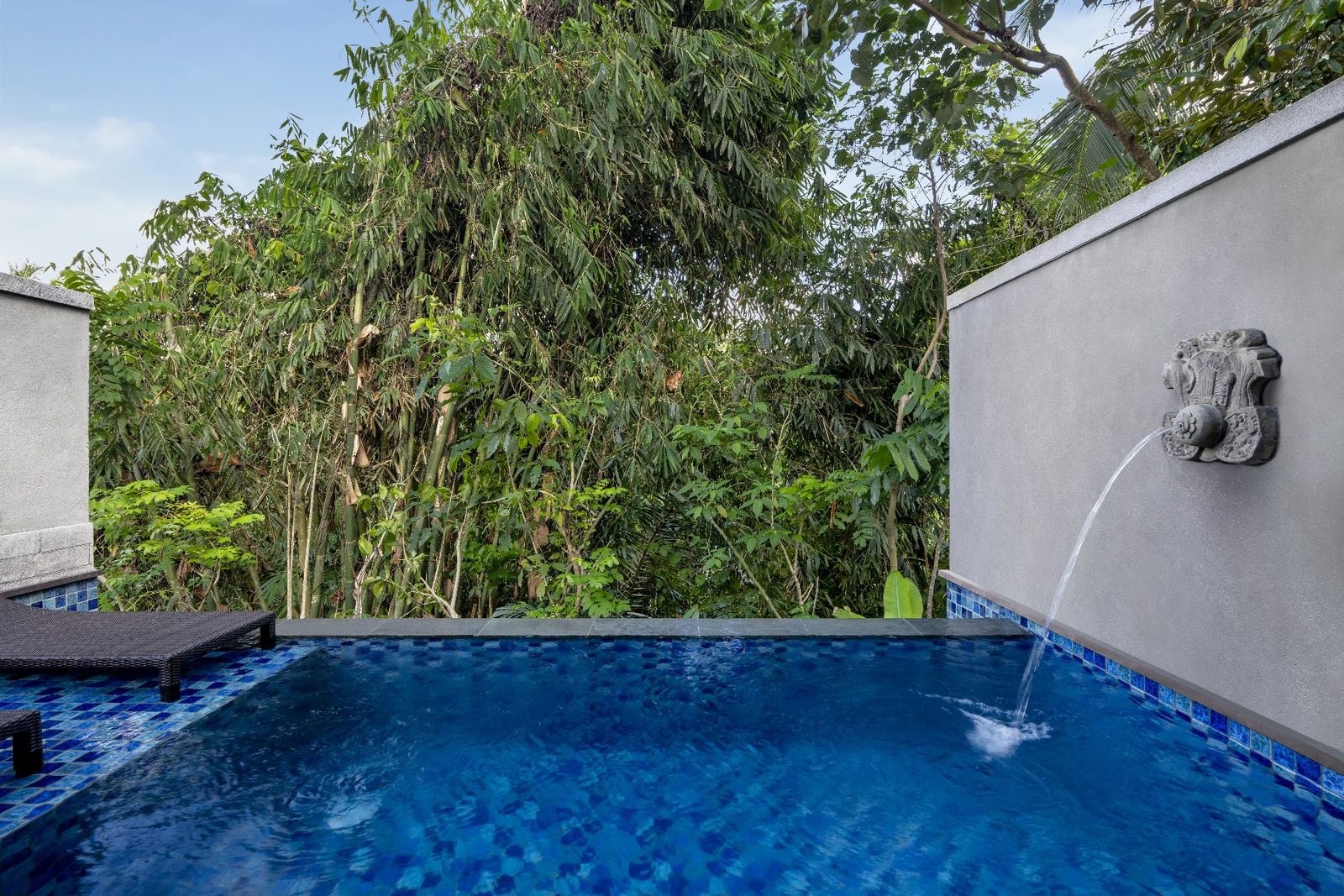 Jungle View Pool Villa: private pool