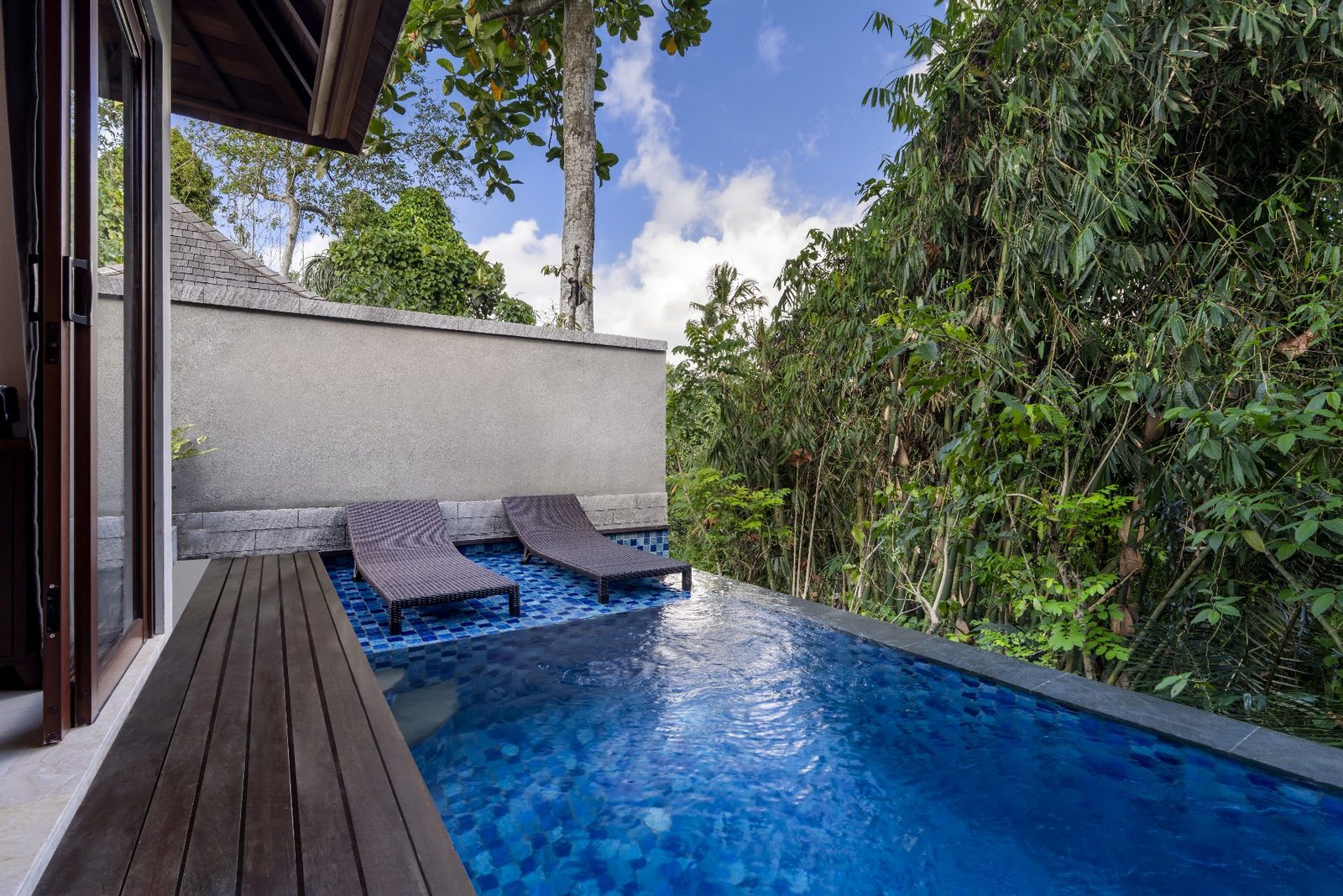 Jungle View Pool Villa: private pool