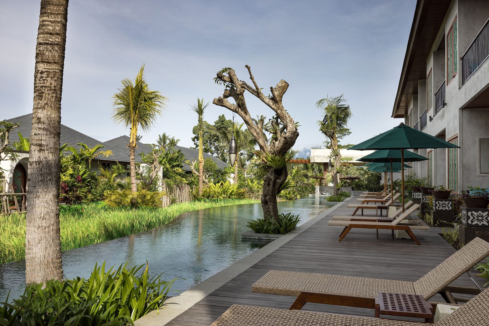 Rice Field View Corner Room: lagoon pool