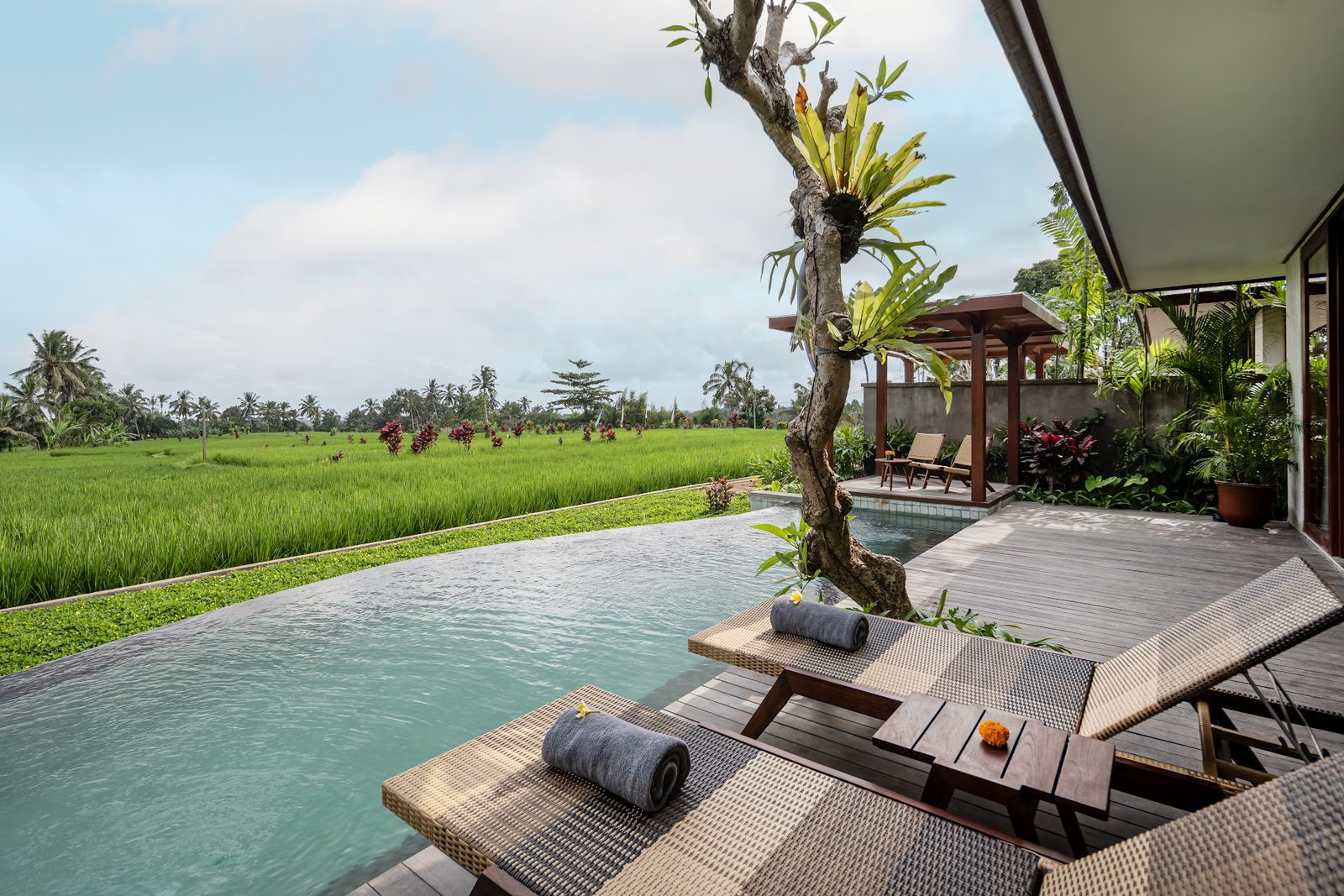 Rice Field View Signature Villa: private pool
