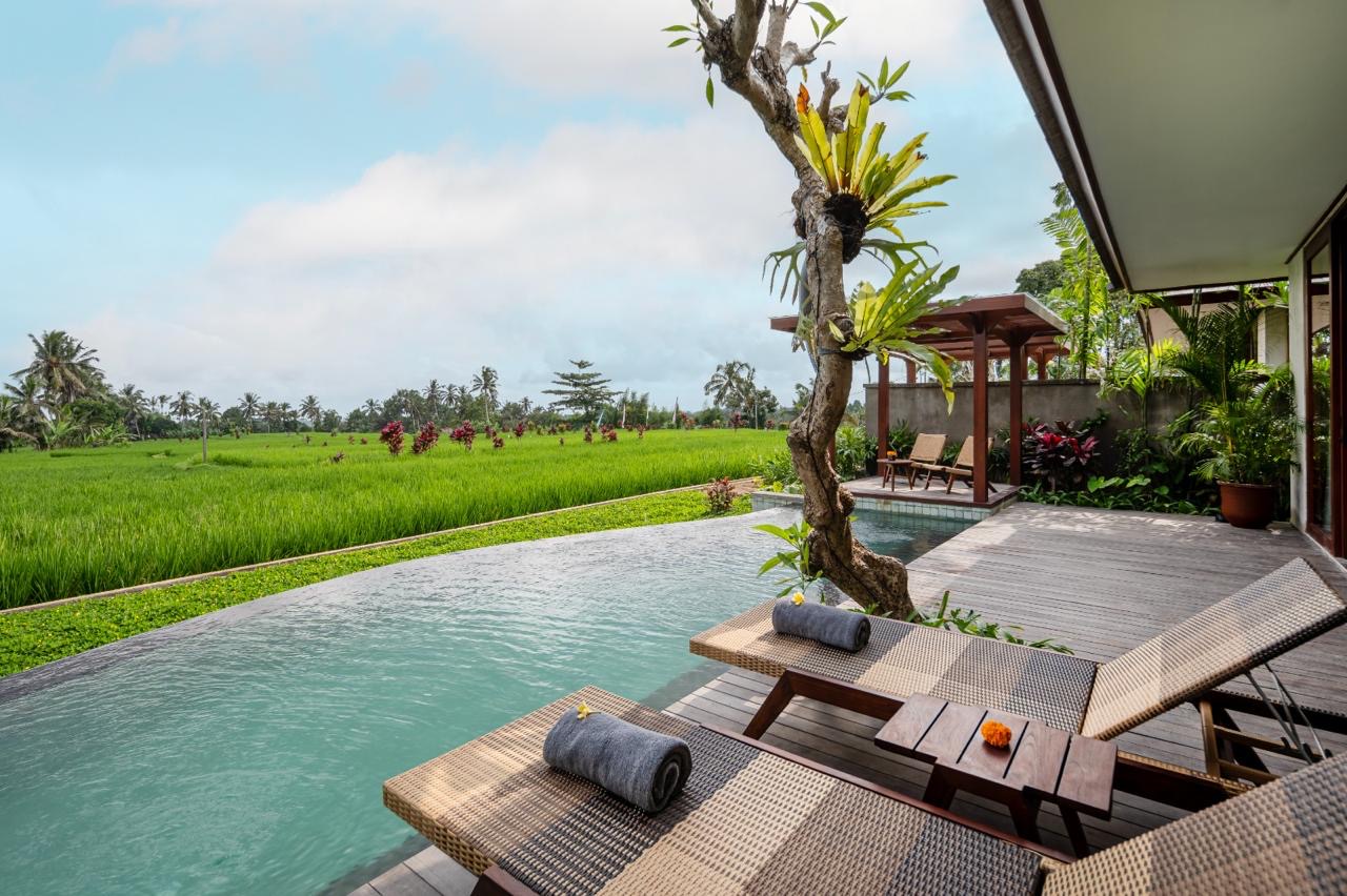 Bali Pirinç Tarlası Manzaralı Havuzlu Villa · 1