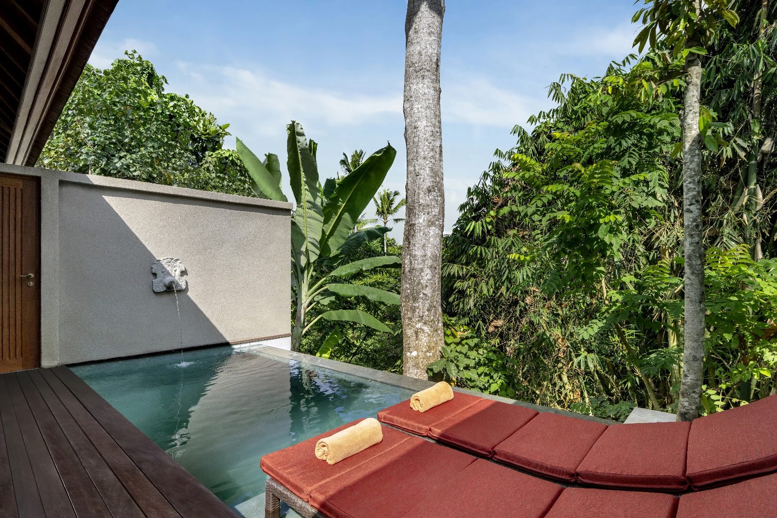 Premiere Jungle View Pool Villa: private pool