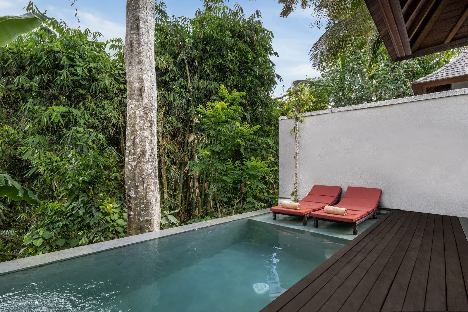 Premiere Jungle View Pool Villa: private pool
